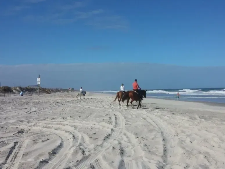 People riding horses on a sandy beach near the ocean