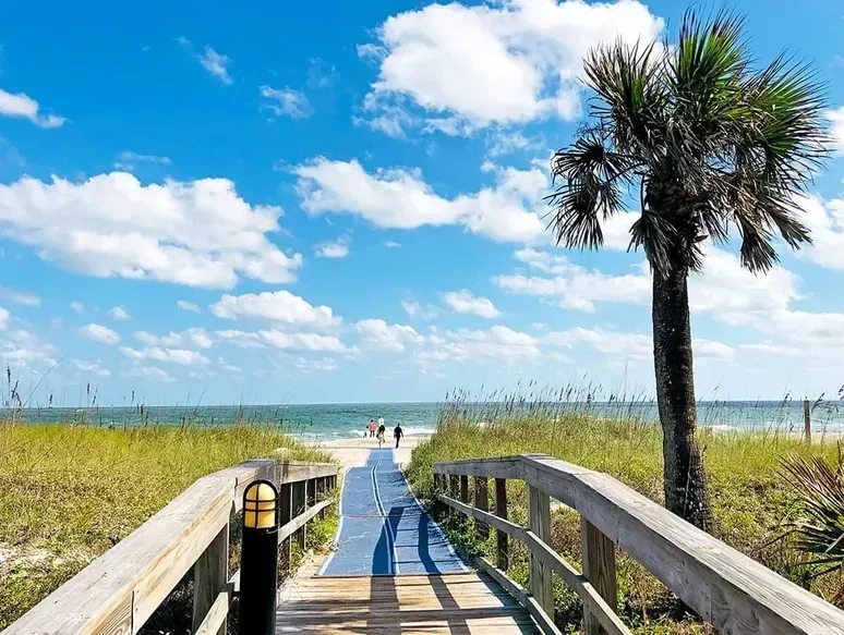 A wooden walkway leading to the beach with a palm tree.