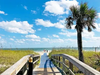 A wooden walkway leading to the beach with a palm tree.