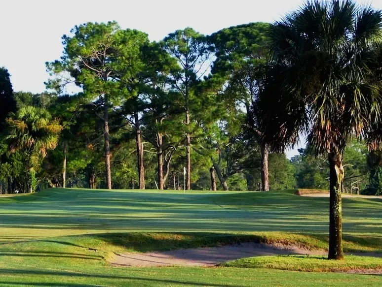 A golf course with trees and palm trees in the background