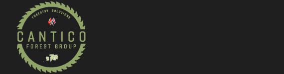 Logo of the Cantico Forest Group in green and white, on a dark background.