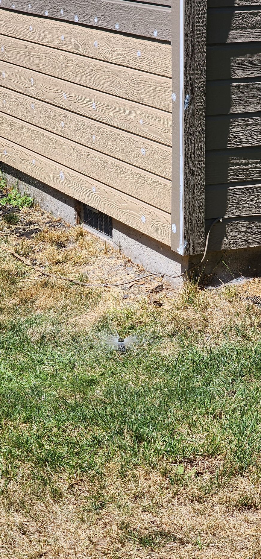 The corner of a building with light brown siding and a dark brown roof. Green and dry grass cover the ground. A sprinkler head is visible.