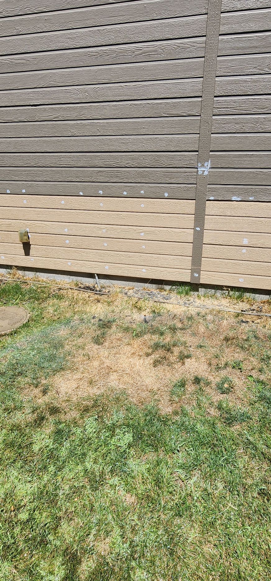 A section of a fence with a grassy area in front, showing both healthy green grass and dry, brown grass.