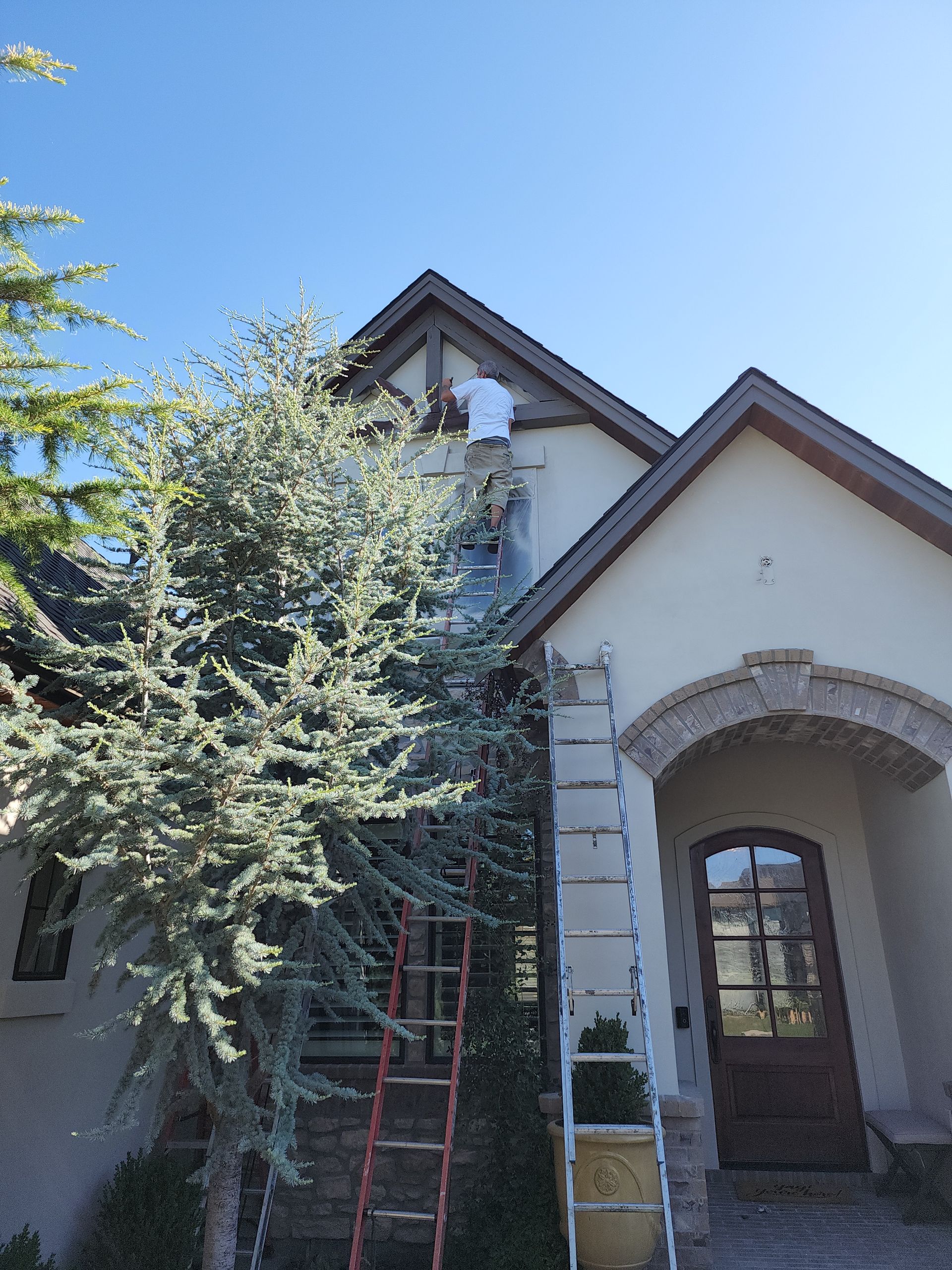 Person painting a house with beige stucco, brown trim, and a dark wood door, using a ladder; a tree partially obscures the house.