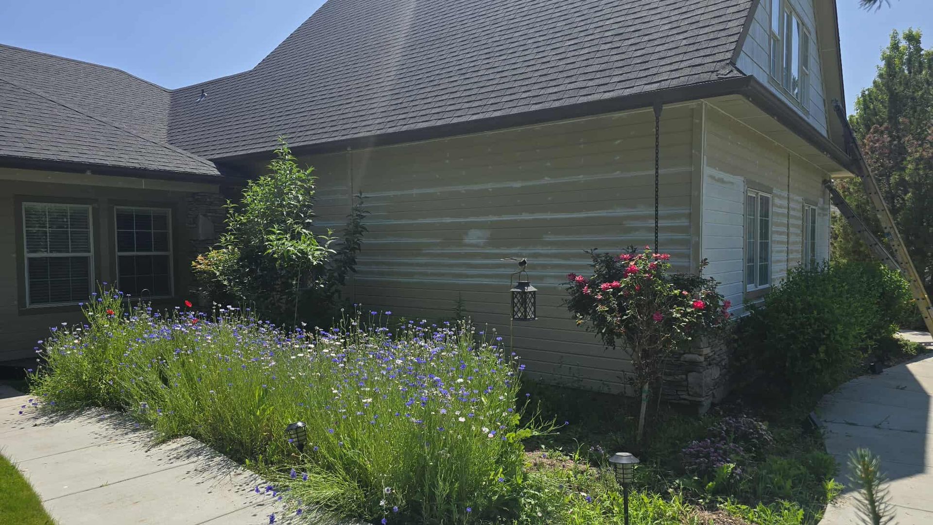 A house with a dark roof and light-colored siding, bordered by a colorful flowerbed and a sidewalk.