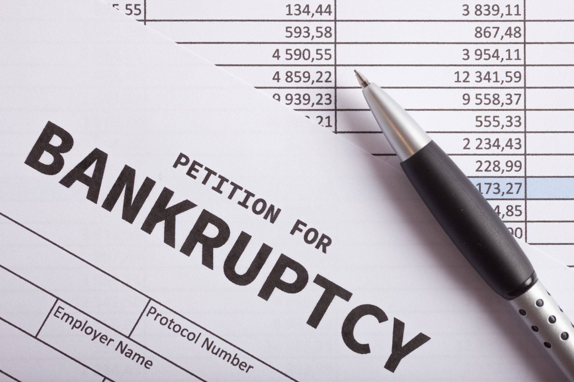 petition of bankruptcy form