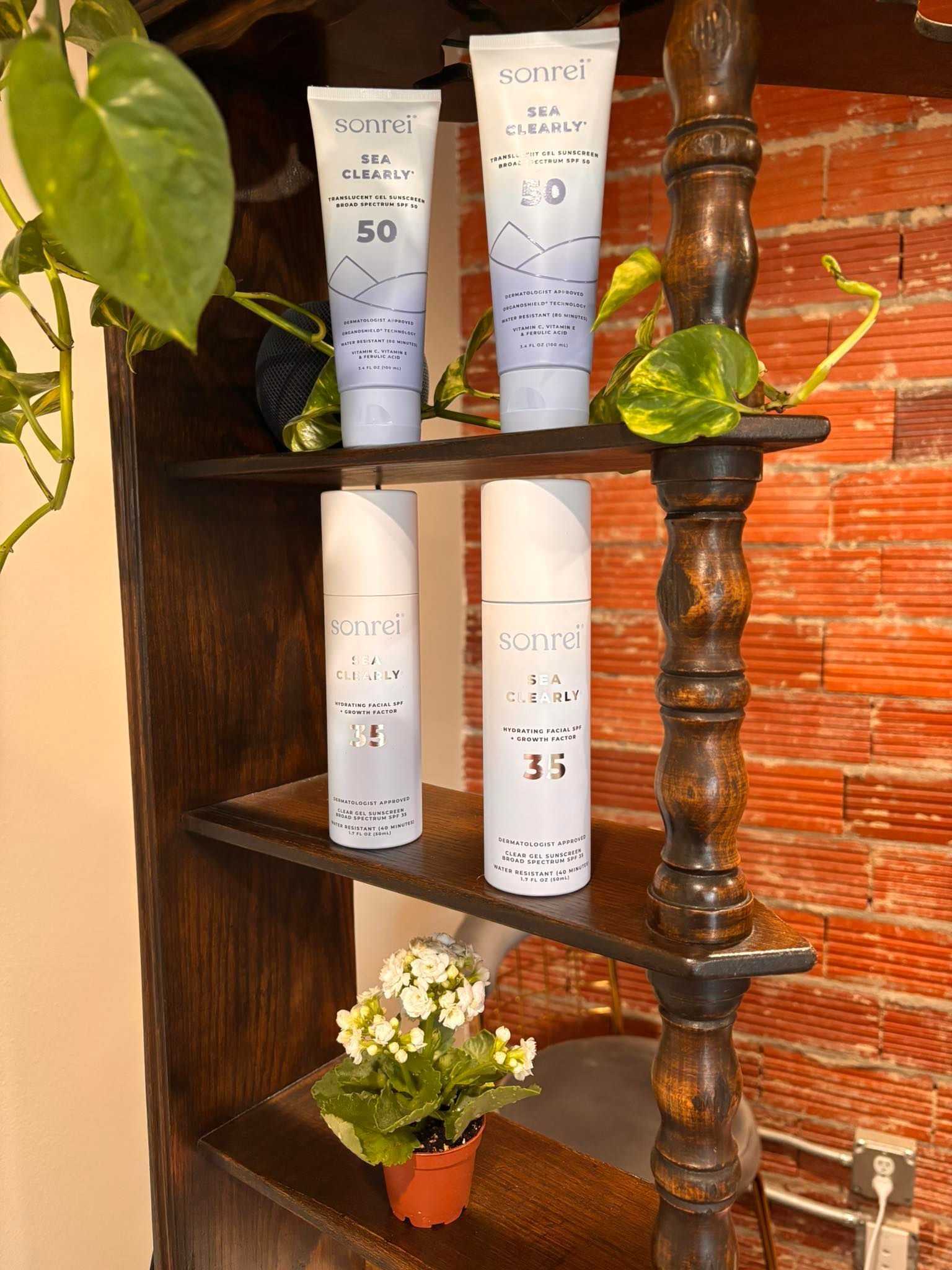 Shelf with four cosmetic tubes and a potted plant.