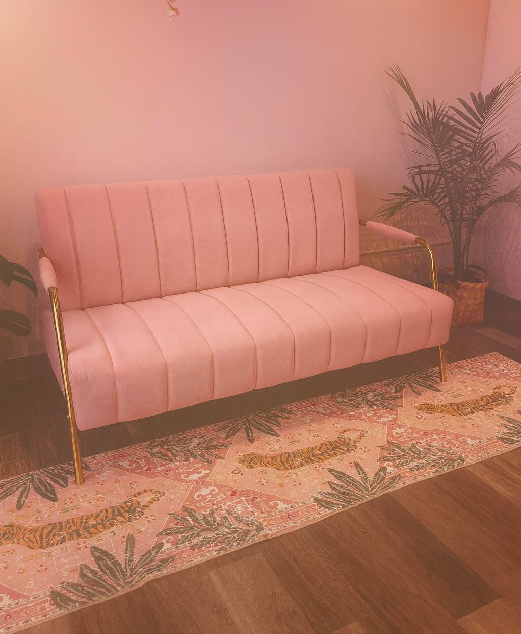 Pink velvet sofa with gold accents, a patterned rug, and potted plants.