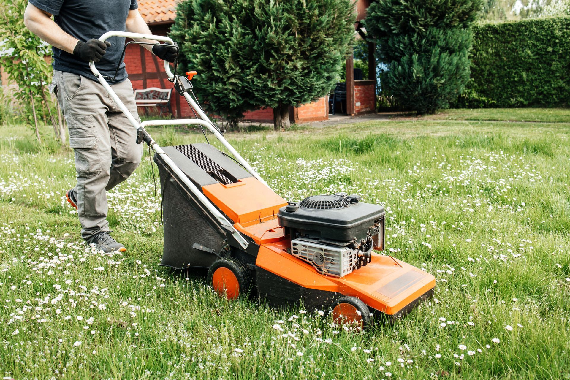 Person mowing a grassy lawn with an orange and black lawnmower, outdoors.