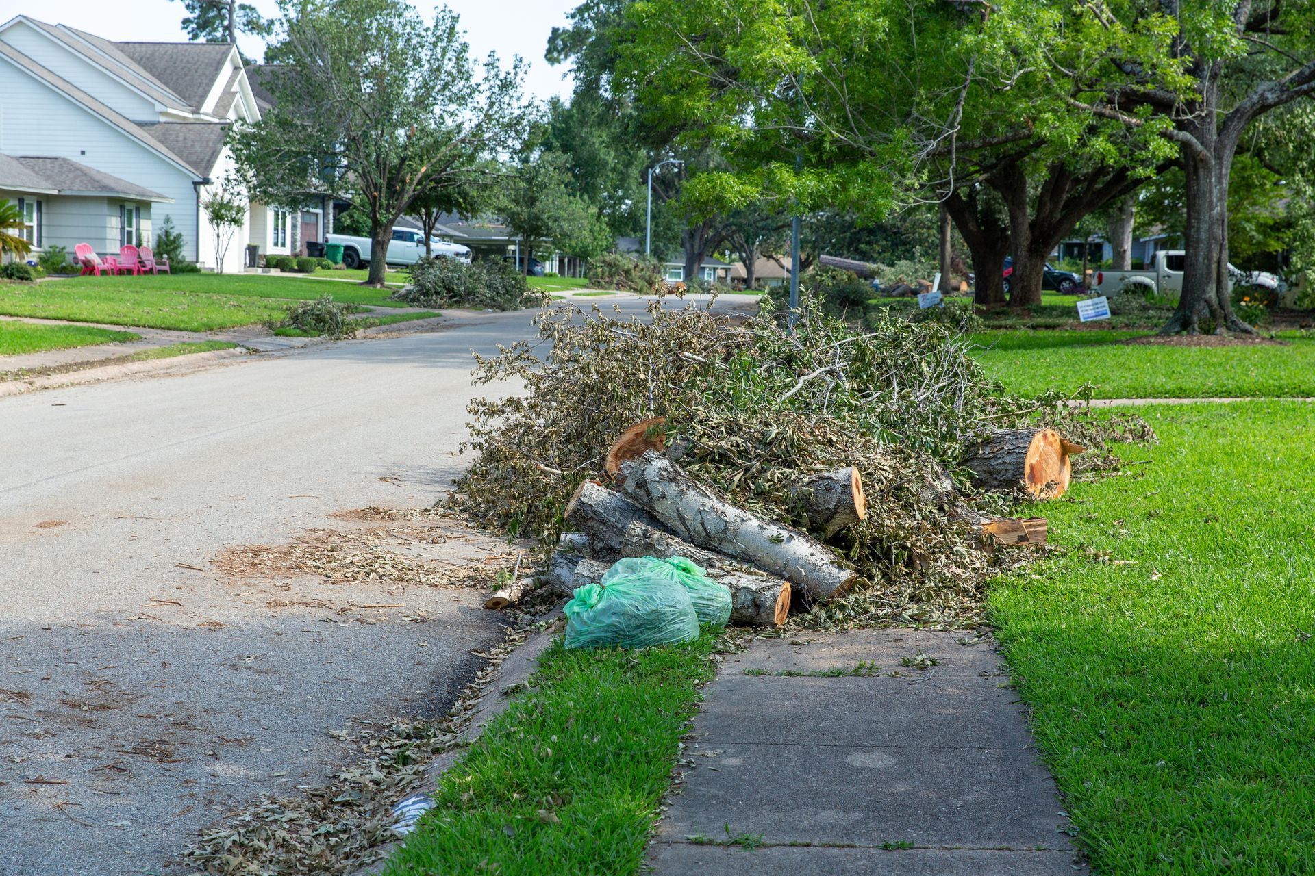 Cut tree branches piled on a suburban street curb next to a green lawn.