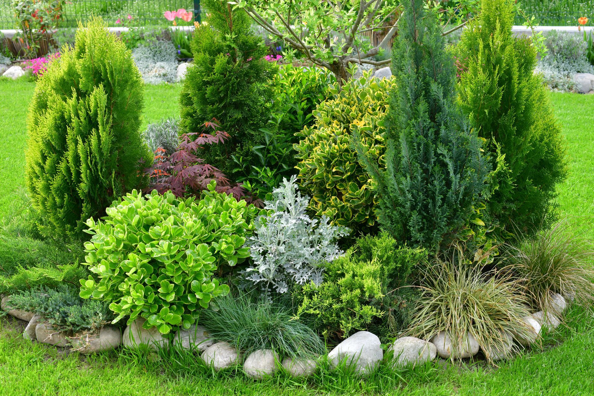 Circular garden bed with various green shrubs and a border of stones. Circular garden bed with various green shrubs and a border of stones.