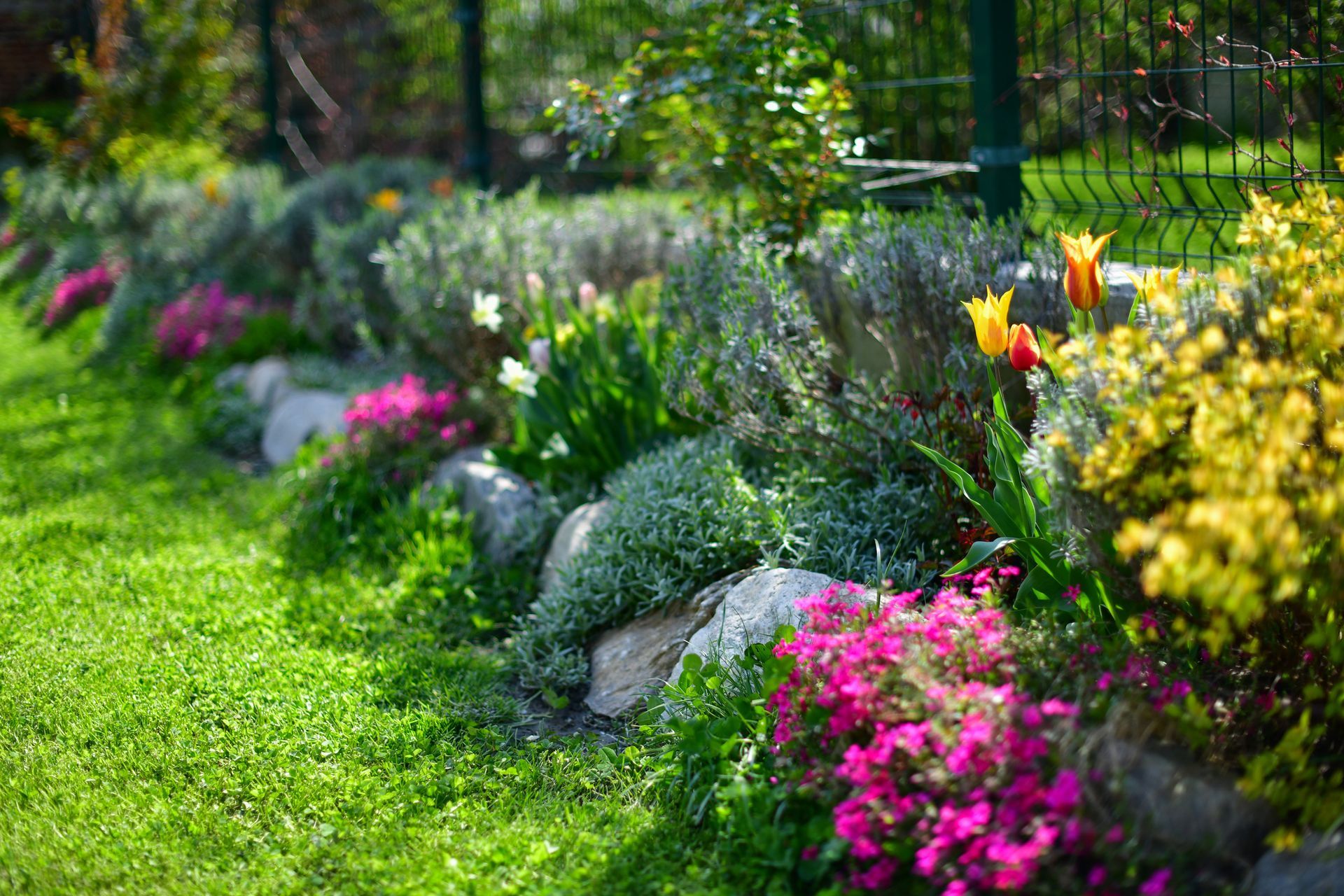 Colorful flower bed bordering a green lawn, edged with rocks and a wire fence.