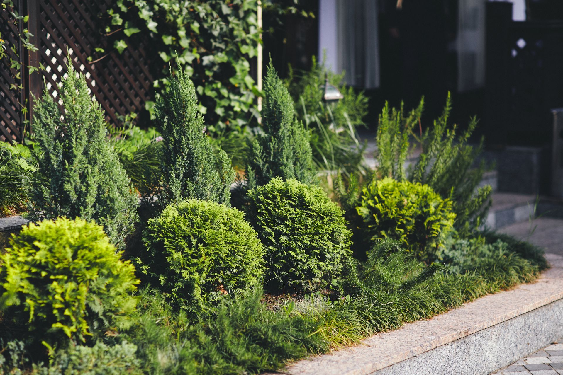 Green shrubs and small trees in a landscaped garden bed along a building, sunlight. Green shrubs and small trees in a landscaped garden bed along a building, sunlight.