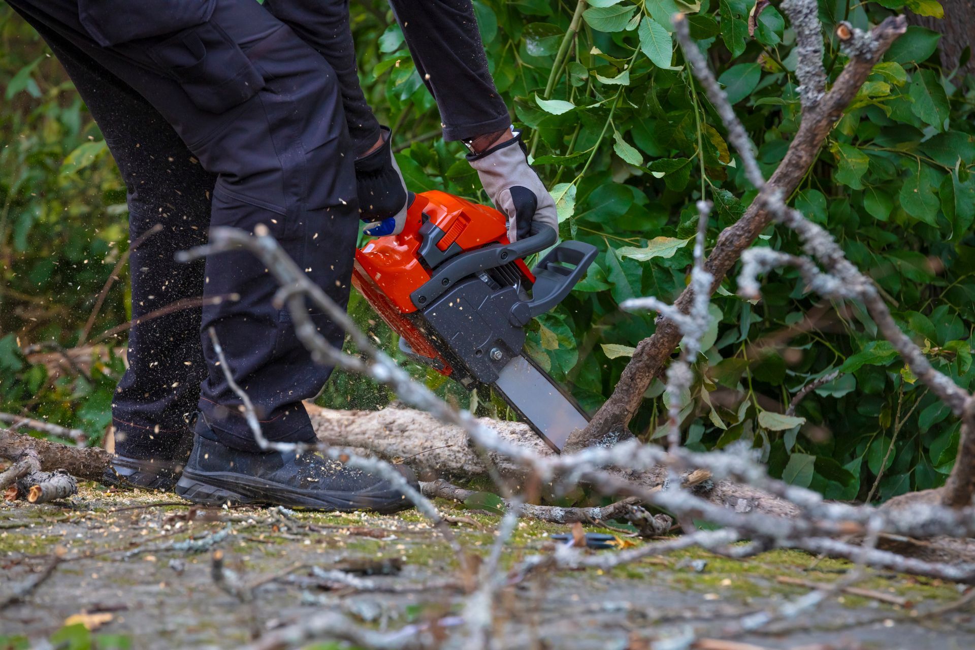 Person in dark clothing using an orange chainsaw to cut a tree branch outdoors. Person in dark clothing using an orange chainsaw to cut a tree branch outdoors.