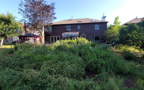 Backyard view of a two-story brown house with overgrown green plants and a red gazebo.