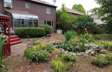 Backyard with a brown house, sunroom, red deck, pond, and various green plants and shrubs.