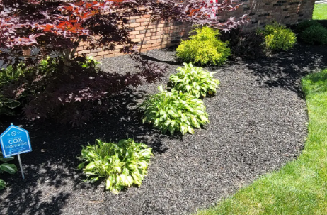 Landscaped flowerbed with mulch, hostas, and other green and yellow plants near a brick building.