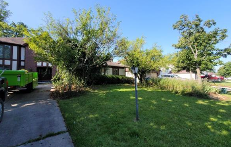 Lawn and trees in front of a house. A green trailer is parked in the driveway. Sunny day.