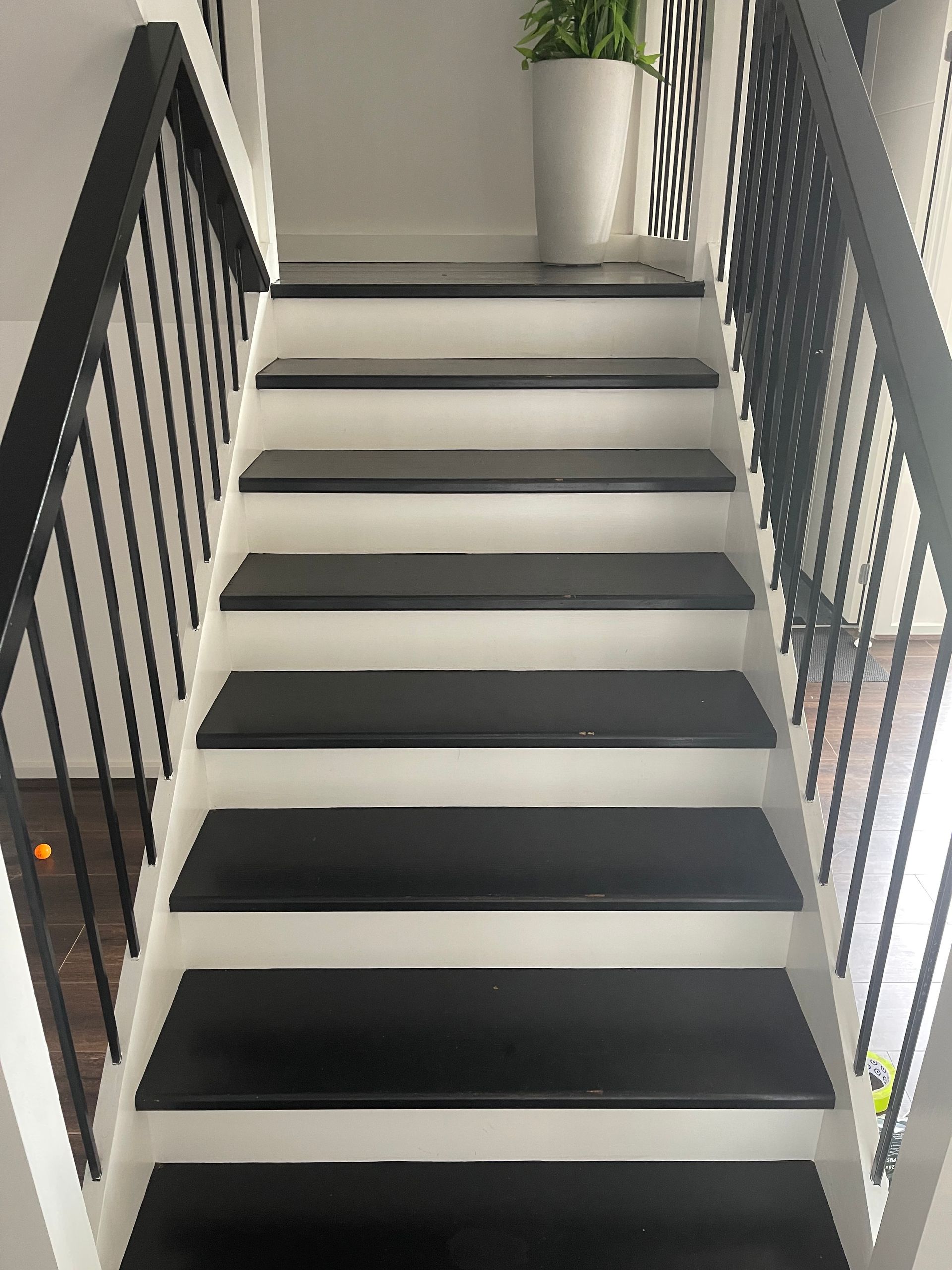 Black and white staircase with a black railing against a white wall, leading to a landing with a white planter and plant.