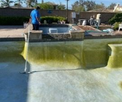 Pool being cleaned; green algae buildup on walls. Person in blue shirt standing by pool edge.