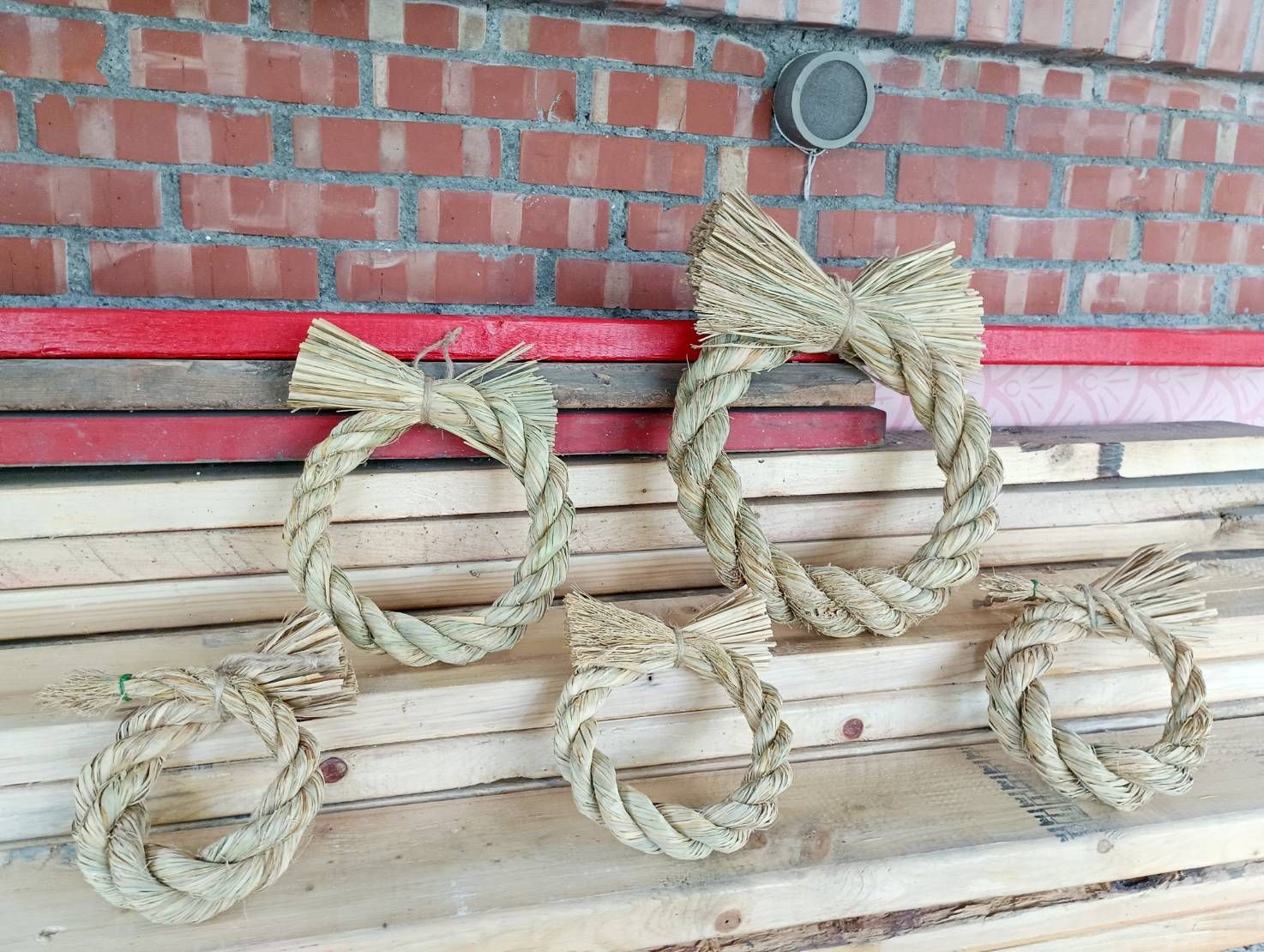 單圈款-15cm以上