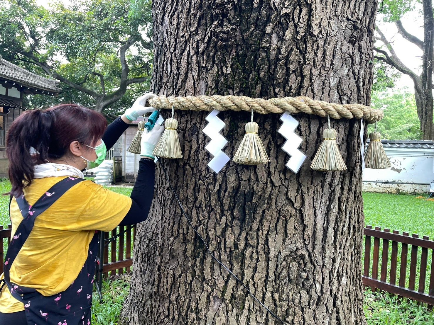 一名婦女正在用繩子和流蘇裝飾聖誕樹。