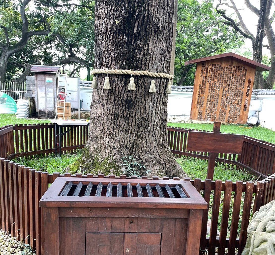 一棵大樹周圍有木柵欄和一個木箱。