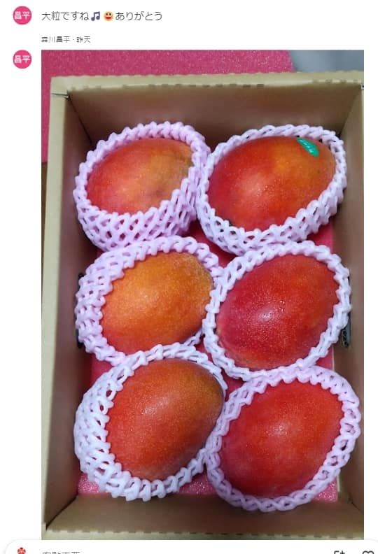 2025日本宅配 愛文芒果禮盒 アップルマンゴー(已售完)