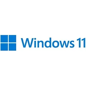 The windows 11 logo is blue and white on a white background.