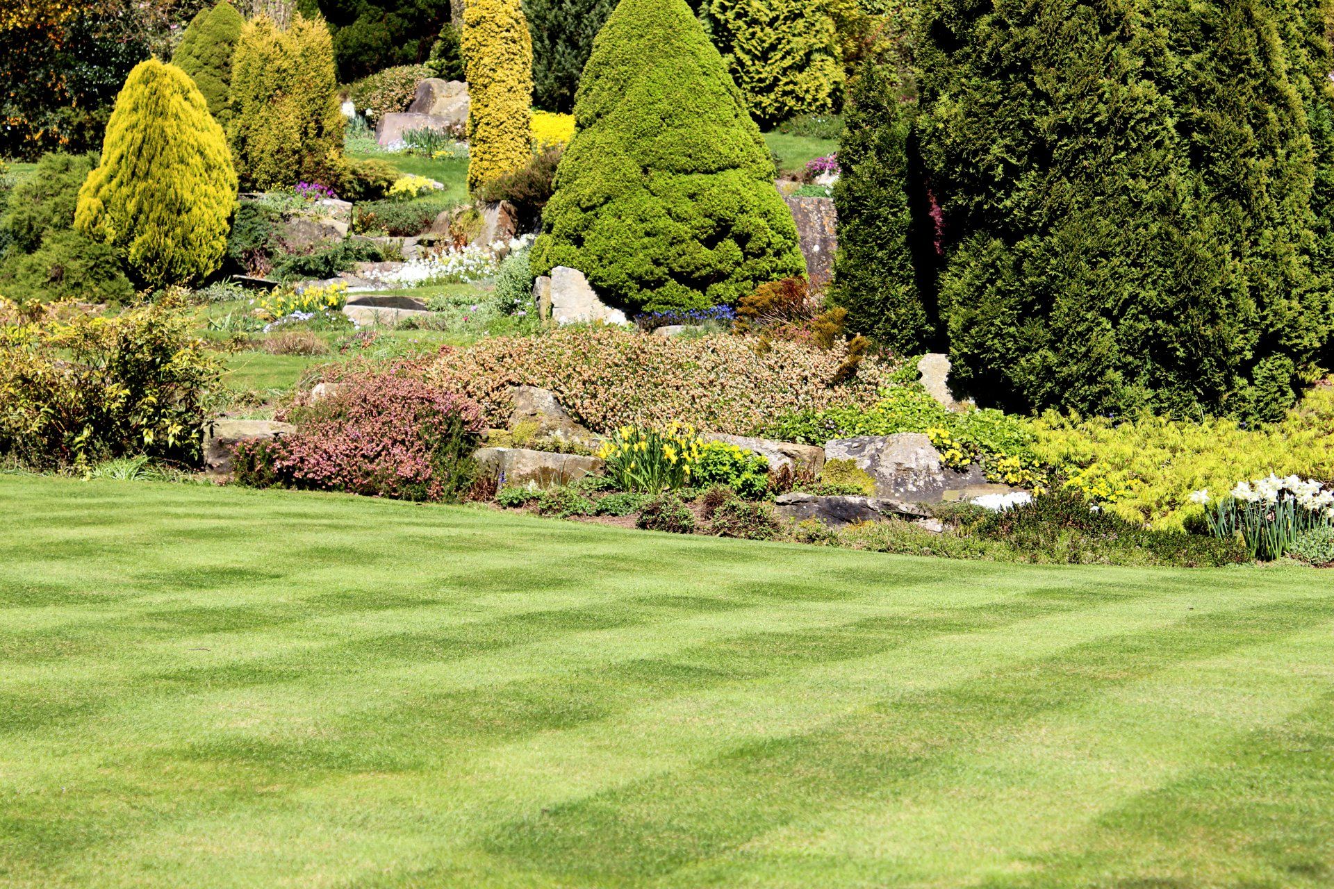 Mowed Grass — Freshly Mowed Grass in Garden, with Lawn Stripes in Louisville, KY