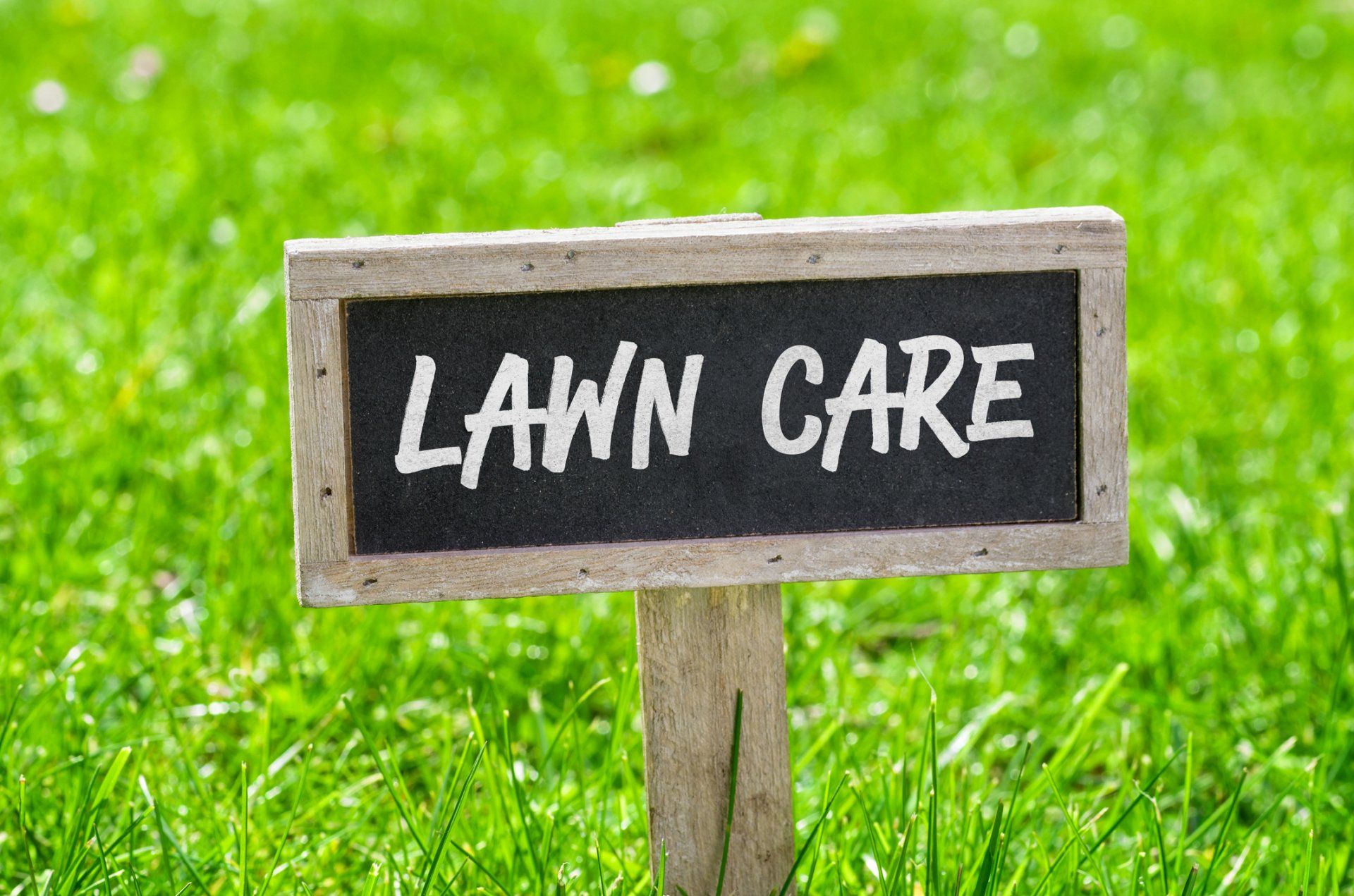 Lawn Care — Sign on a Green Lawn - Lawn Care in Louisville, KY