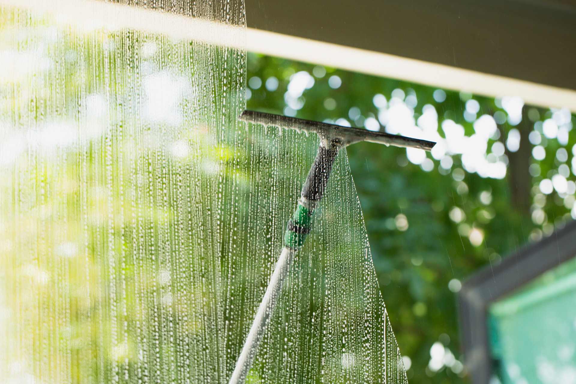 Person cleaning a glass shower door with a squeegee outdoors, with green foliage in the background