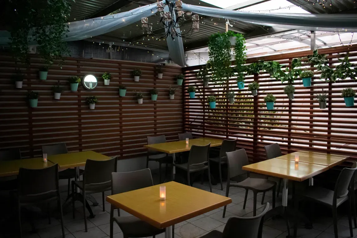 A restaurant with tables and chairs and potted plants on the wall.