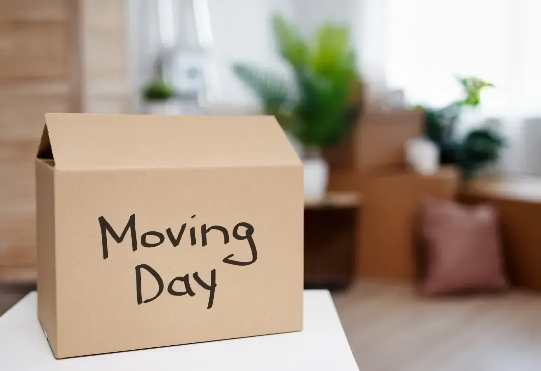 A cardboard box titled Moving Day