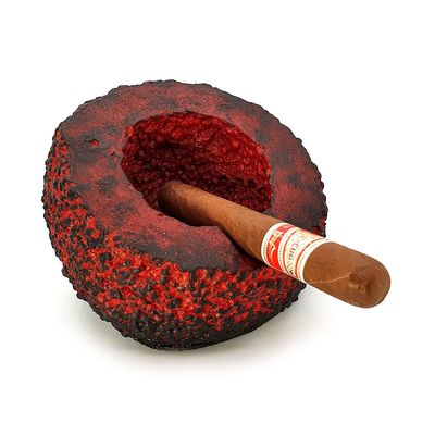 Fincato La Casa del Habano