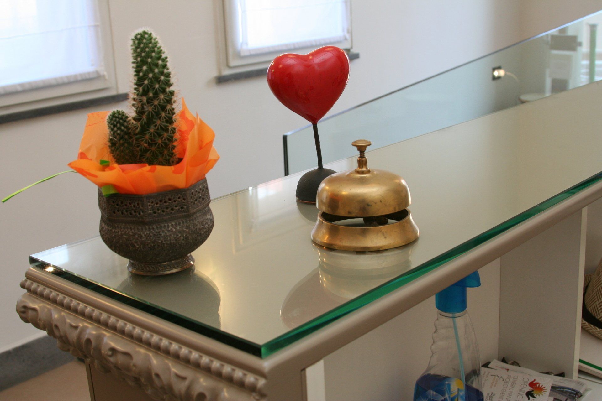 Un tavolo con un cactus e una campana sopra