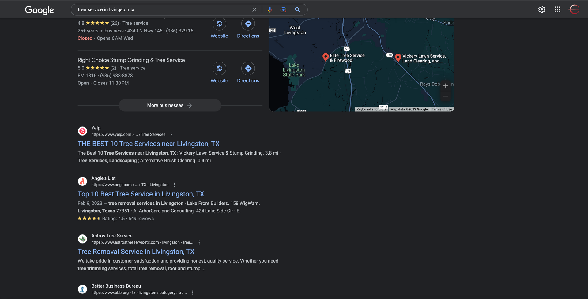 Google search results for