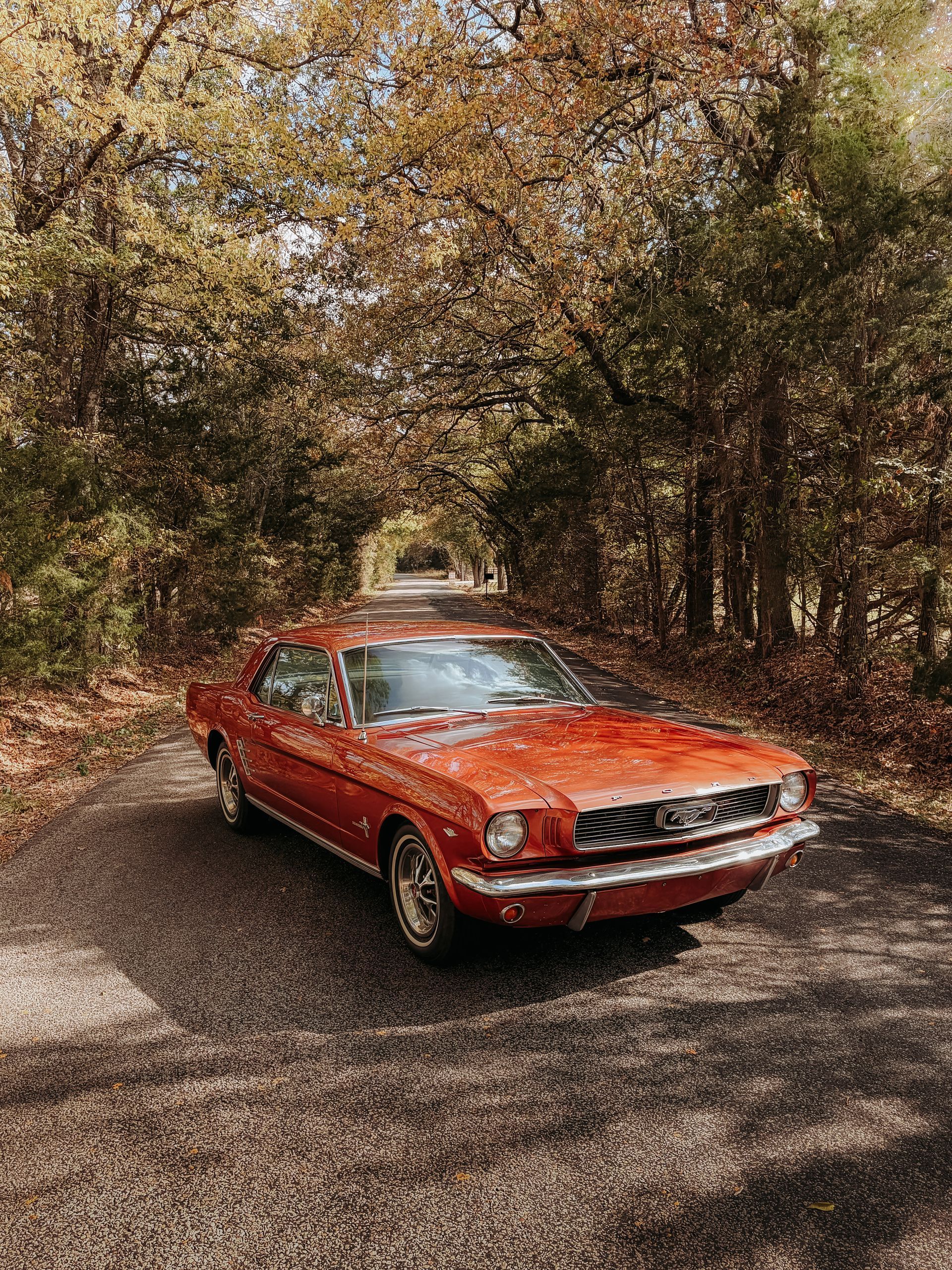 Vintage orange Ford Mustang on a tree-lined, sunlit road.