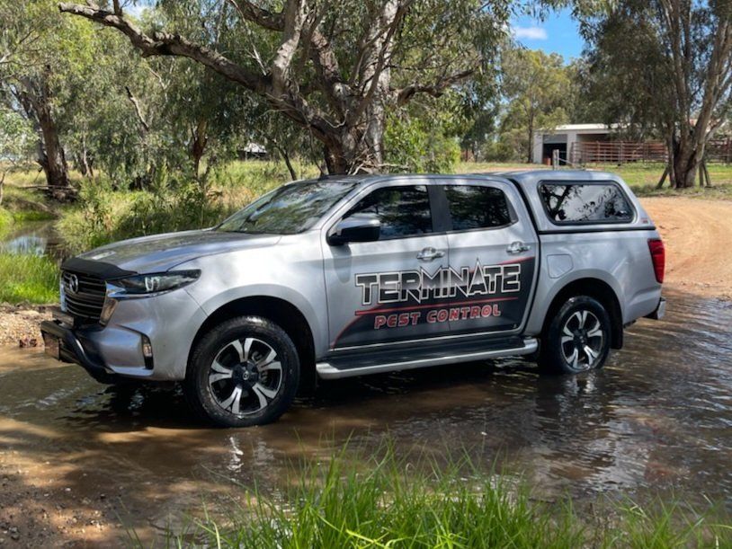 Company Vehicle — Wagga Wagga, NSW — Terminate Pest Control