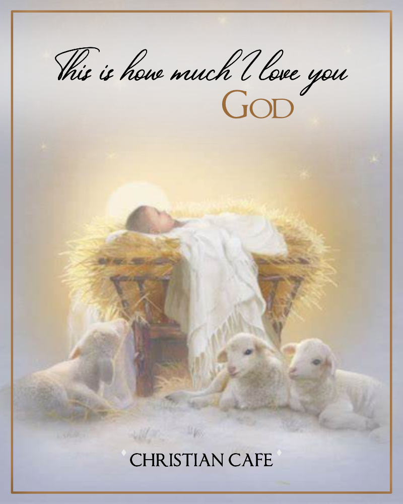 A shelf filled with a variety of fruits and vegetables wrapped in plastic.