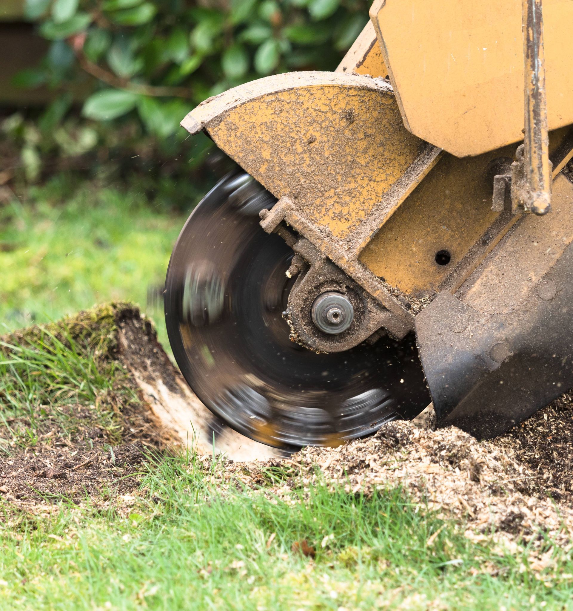 Stump Grinding Company in West Valley City, UT