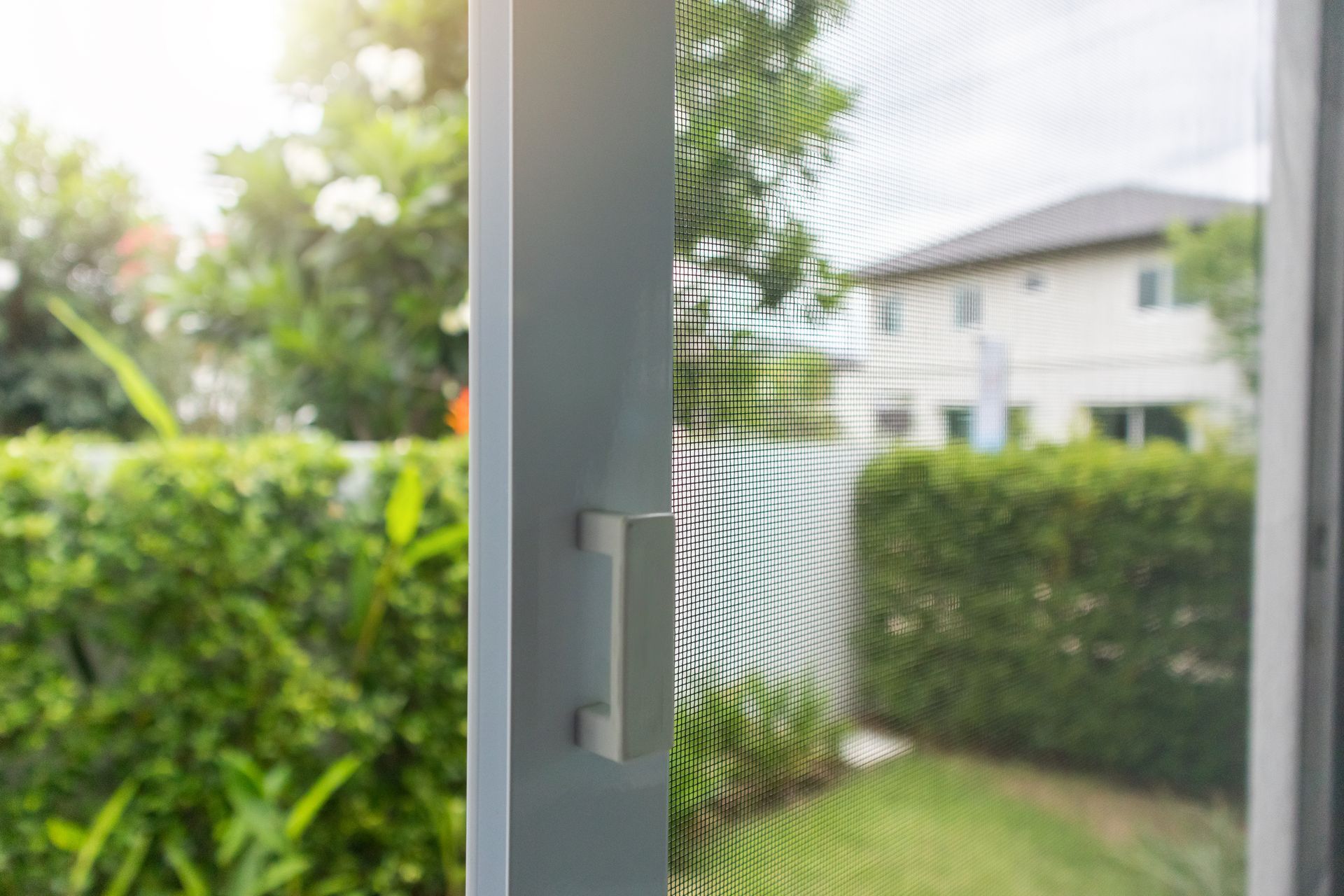 A white-framed screen door with a simple handle, viewed from inside looking out toward a sunny backyard and house. A white-framed screen door with a simple handle, viewed from inside looking out toward a sunny backyard and house.