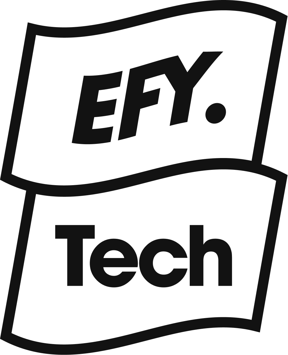 Selo premiação EFY Tech Employers for Youth