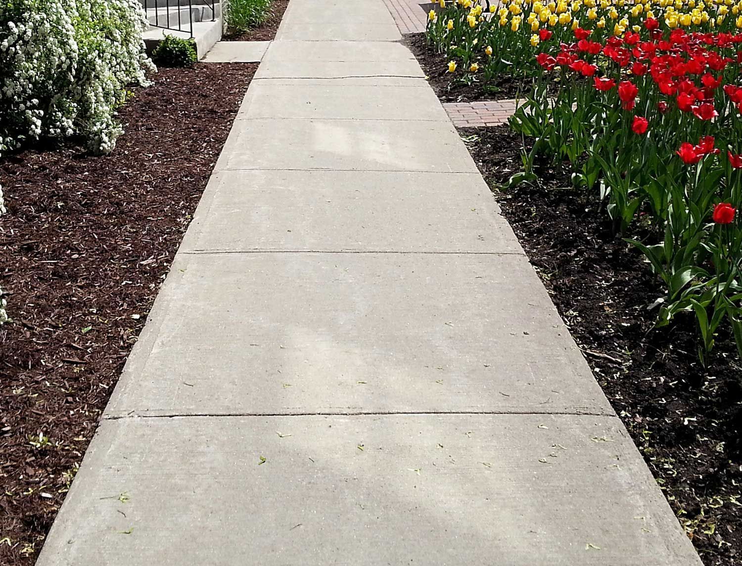 Tiled shower wall with corner shelves