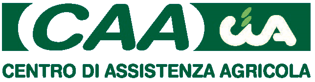 Logo CAA CIA
