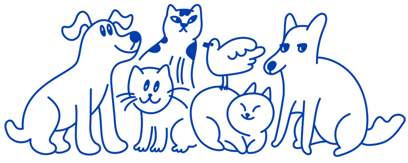 A group of cats and dogs are sitting next to each other on a white background.