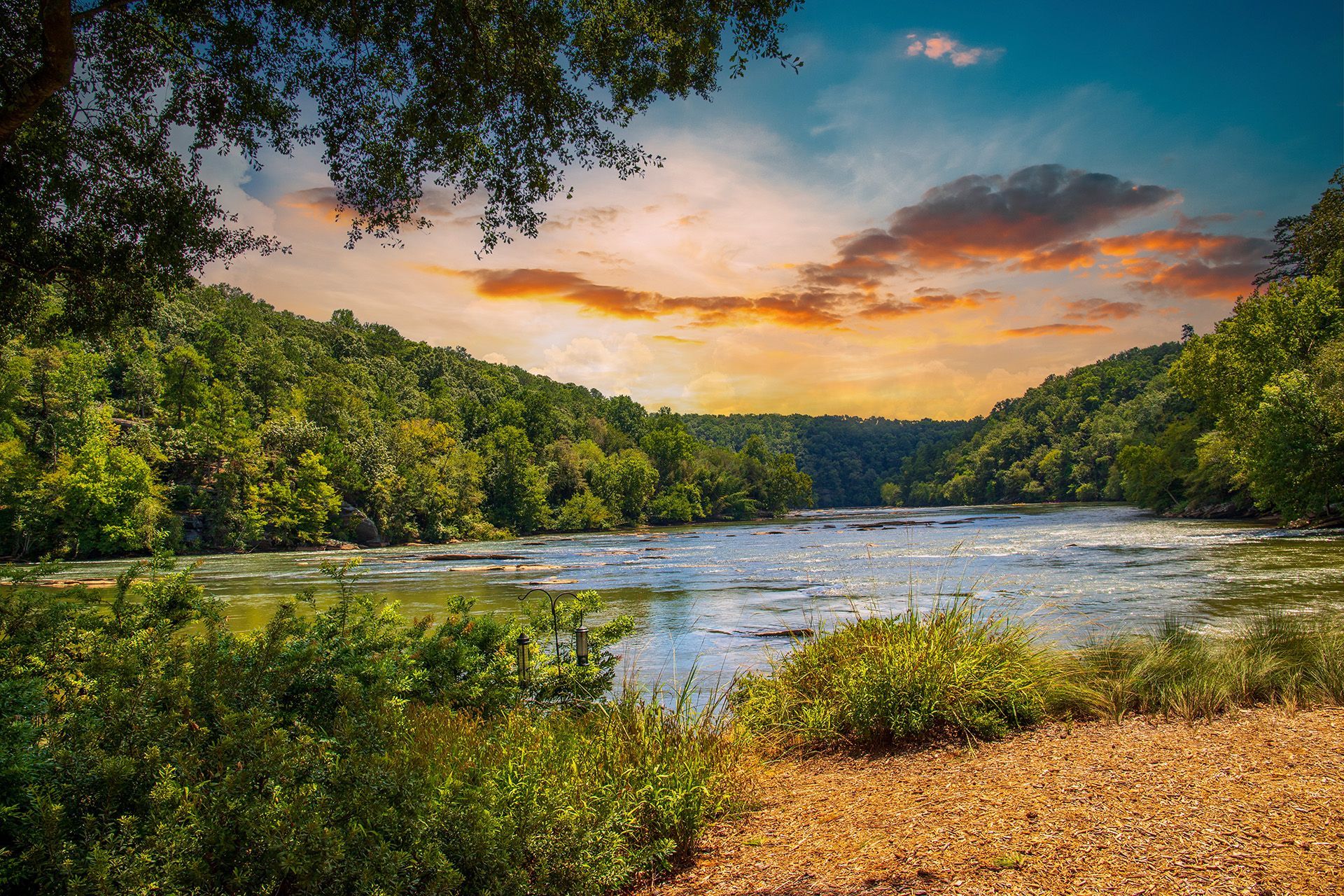 A fountain in a park with palm trees in the background