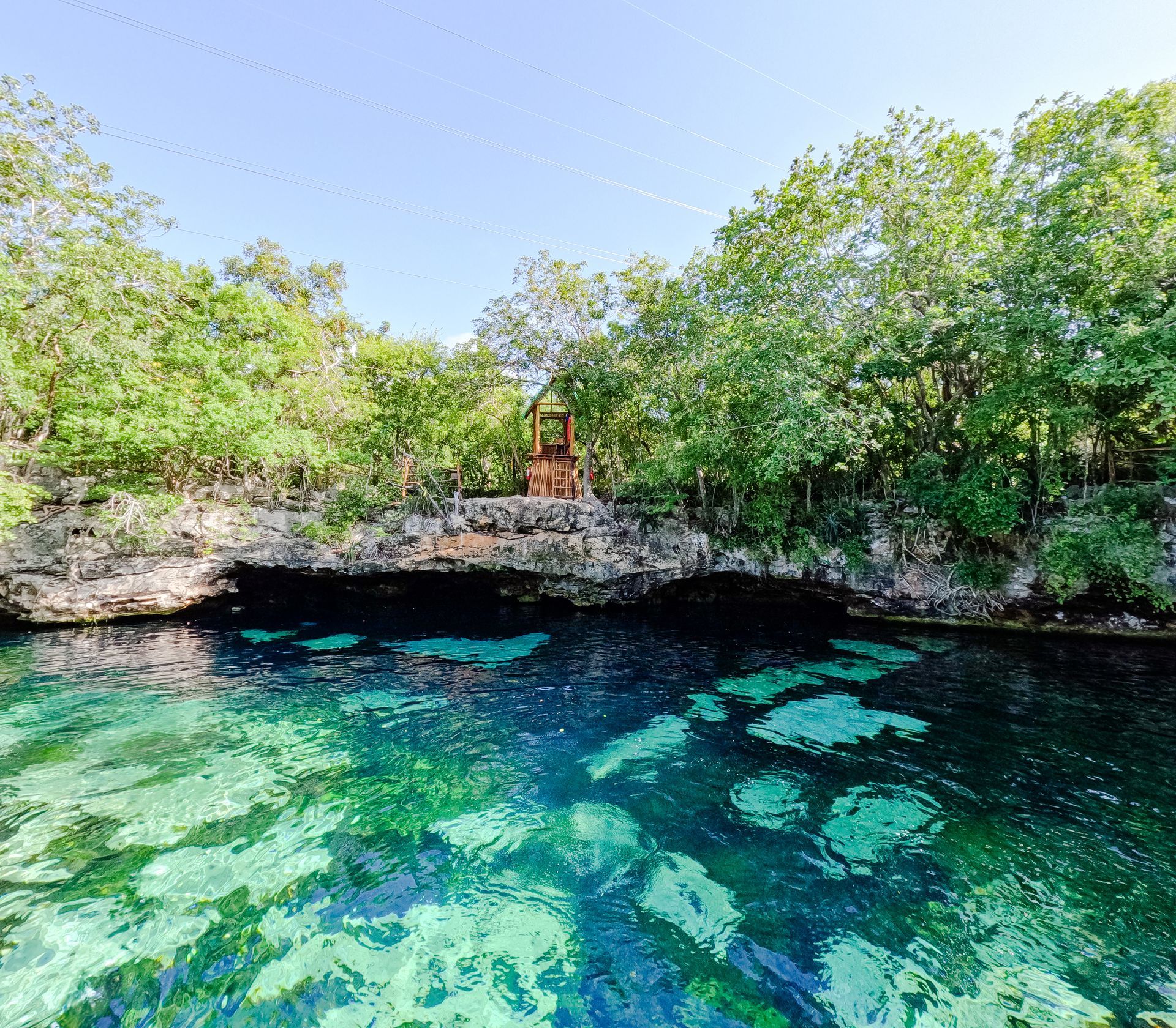 Clear turquoise cenote water with overhanging limestone cliffs and lush green trees.
