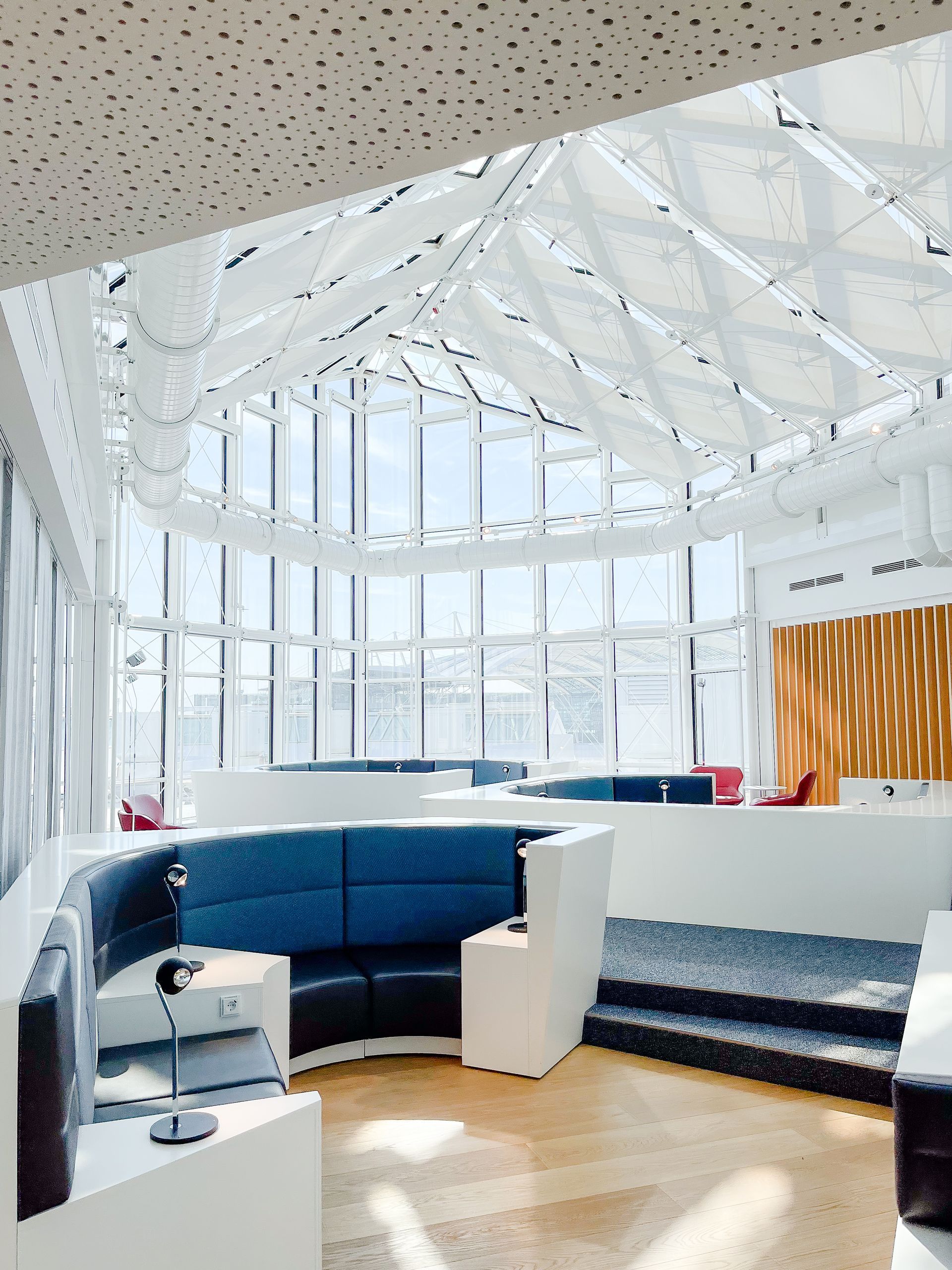 Bright, modern office interior with blue booths, curved windows, and a patterned ceiling.