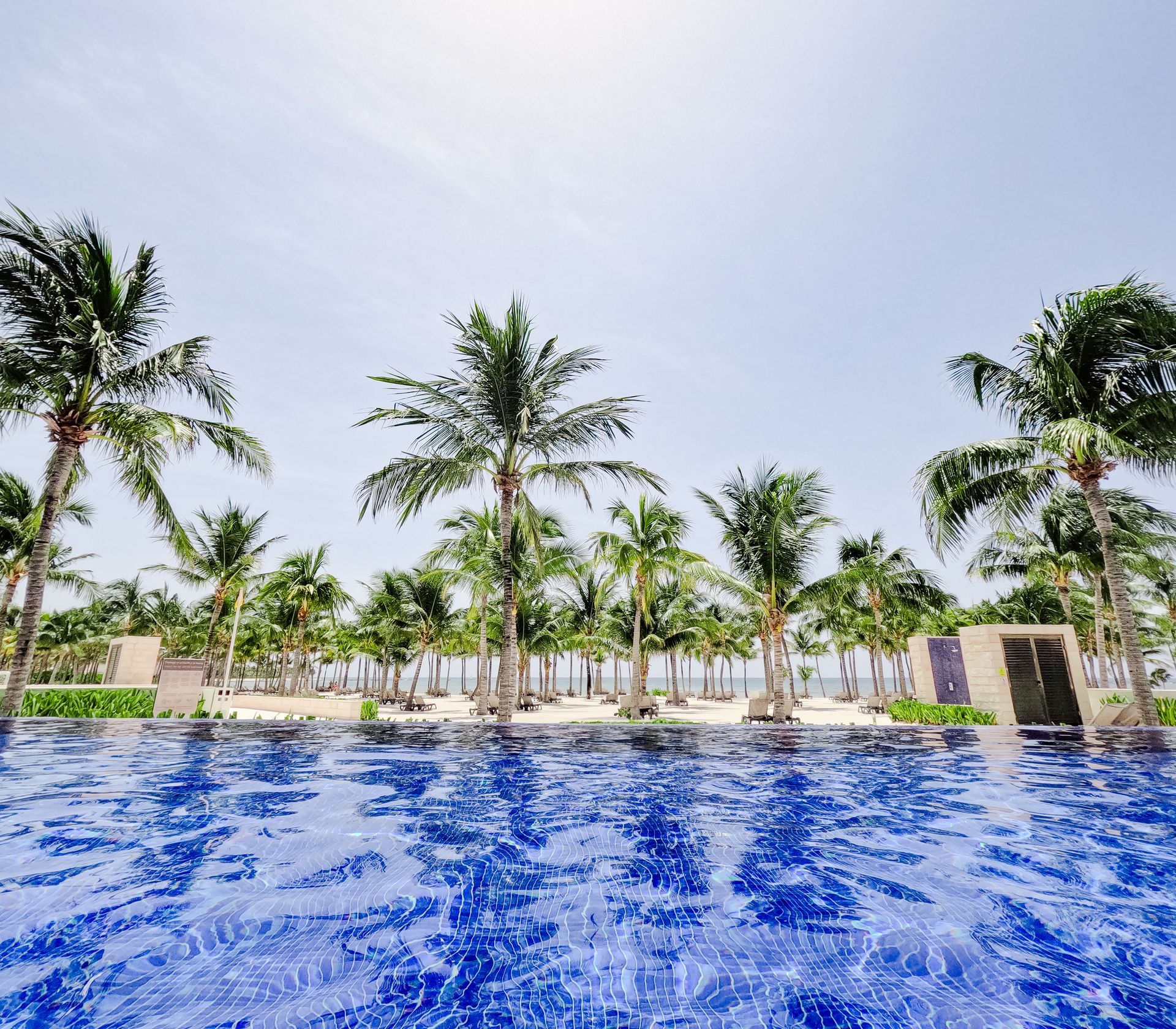 Infinity pool overlooking a beach with palm trees under a blue sky.